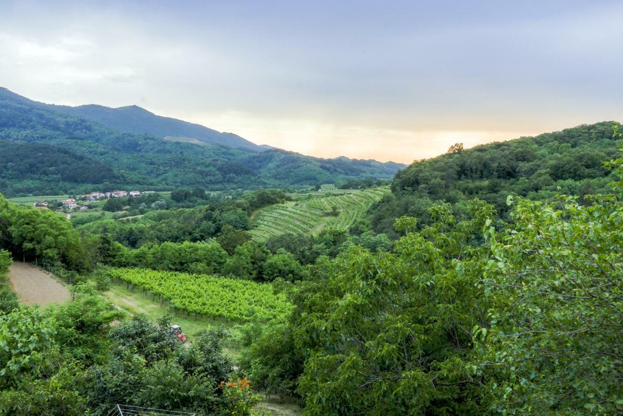 Отель Cebron Family Estate Branik Экстерьер фото