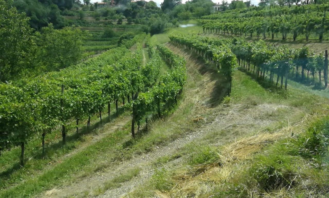 Отель Cebron Family Estate Branik Экстерьер фото