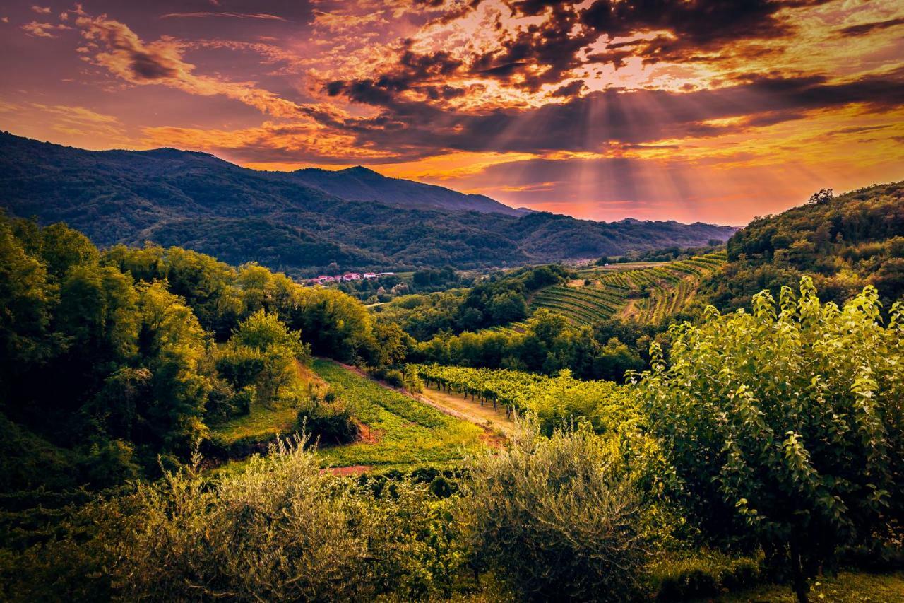 Отель Cebron Family Estate Branik Экстерьер фото